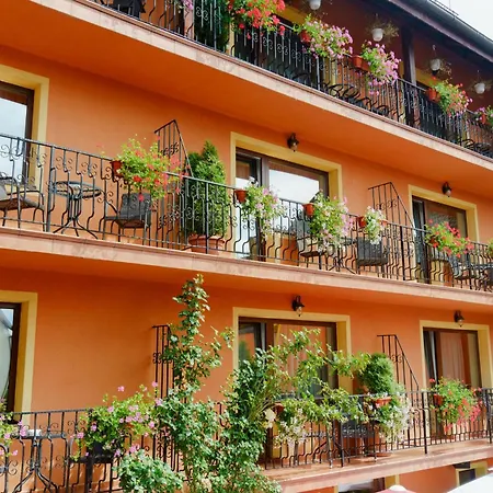 Complex Turistic Max International 3* Rîşnov